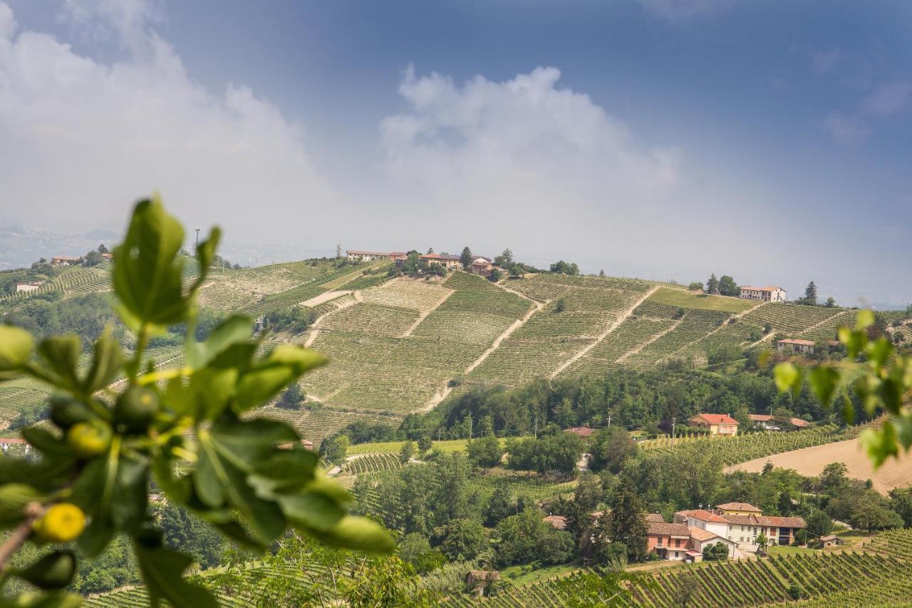 B&B Miello Nelle Langhe Mango Exterior photo